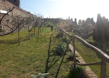 Giardino - Casa semi indipendente Monteverdi Marittimo - foto 6