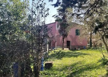 Giardino - Rustic Pomarance - photo 1