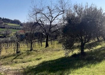 Non correlato - Rustic Pomarance - photo 11