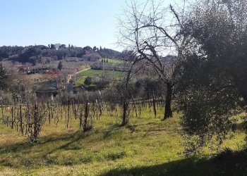 Vista delle montagne - Rustic Pomarance - photo 12