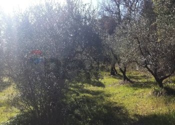 Non correlato - Rustic Pomarance - photo 13