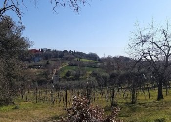 Vista delle montagne - Rustic Pomarance - photo 14