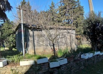 Giardino - Rustic Pomarance - photo 15