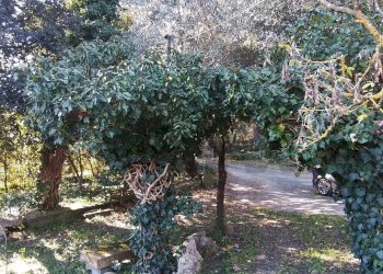 Giardino - Rustic Pomarance - photo 25