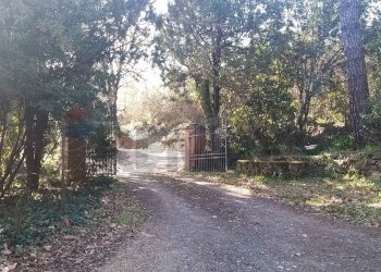 Giardino - Rustic Pomarance - photo 42