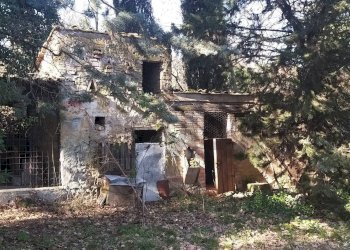 Giardino - Rustic Pomarance - photo 43