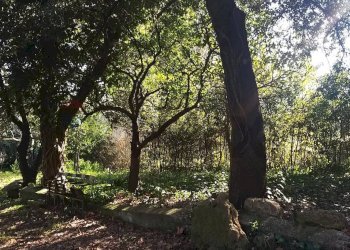 Giardino - Rustic Pomarance - photo 44