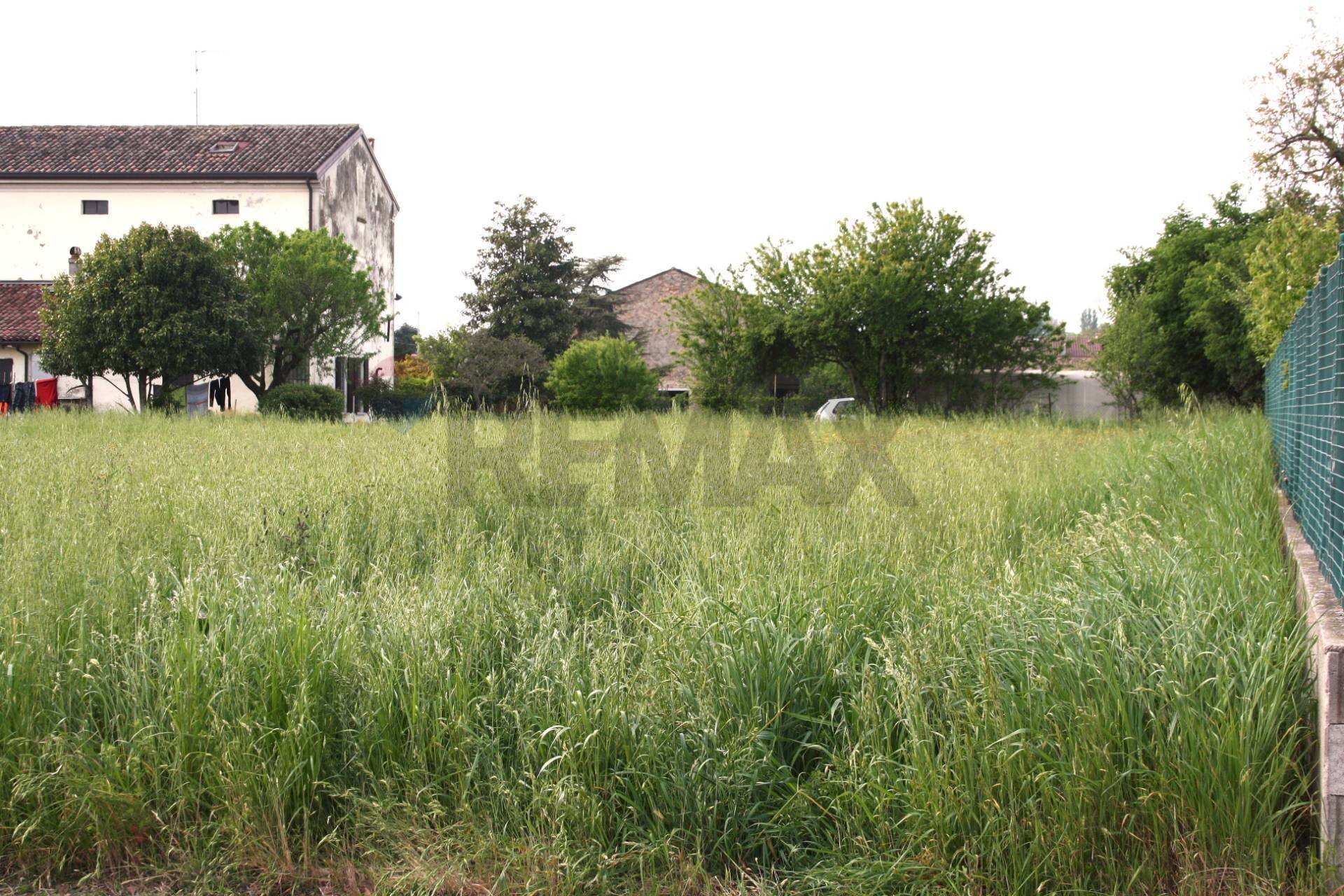 Giardino - Terreno edificabile Gazoldo degli Ippoliti - foto 2
