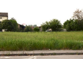 Giardino - Terreno edificabile Gazoldo degli Ippoliti - foto 3