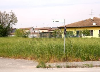 Giardino - Terreno edificabile Gazoldo degli Ippoliti - foto 8