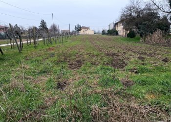 Giardino - Independent house Via Parolara
 
20, Villimpenta - photo 10