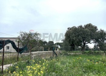 Giardino - Agricultural land Via Isola, Siracusa - photo 6
