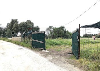 Giardino - Agricultural land Via Isola, Siracusa - photo 9