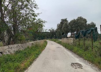 Giardino - Agricultural land Via Isola, Siracusa - photo 10