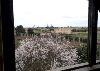 Balcone - Capannone Contrada lettiera, Pachino - foto 10