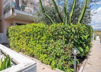 Giardino - Two-room apartment Viale Eolie
 
8, Noto - photo 33