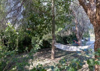 Giardino - Villa contrada chiusa di carlo, Avola - photo 6