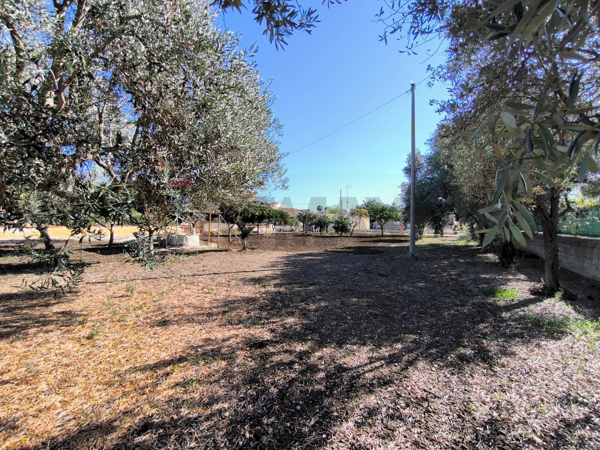 Giardino - Villa Siracusa - foto 3