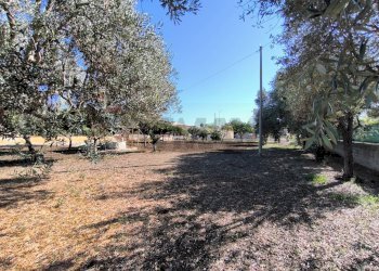 Giardino - Villa Siracusa - foto 3