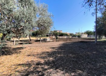 Giardino - Villa Siracusa - foto 4