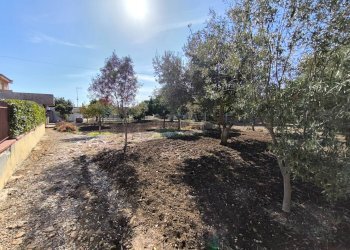 Giardino - Villa Siracusa - foto 5