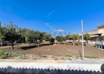 Giardino - Villa Siracusa - foto 17