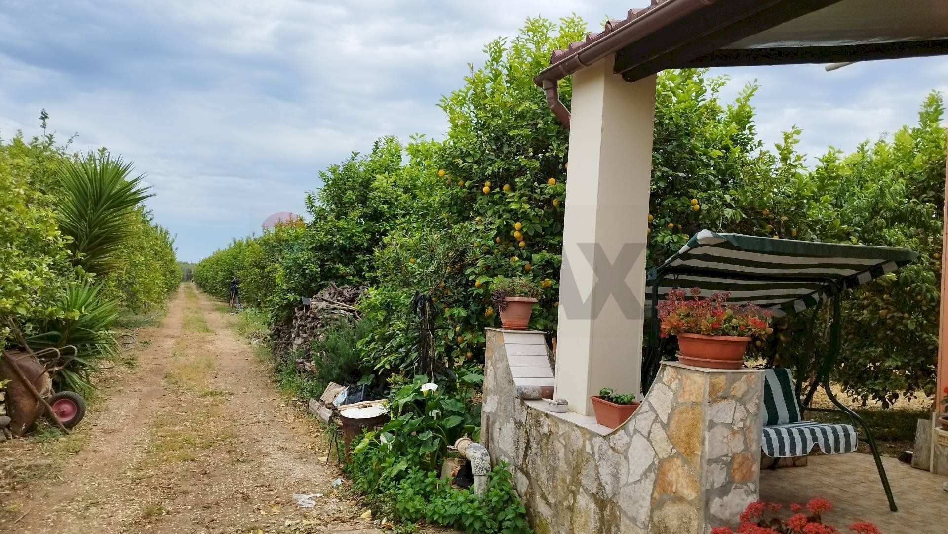 Giardino - Terreno agricolo SP 19 NOTO, Noto - foto 3