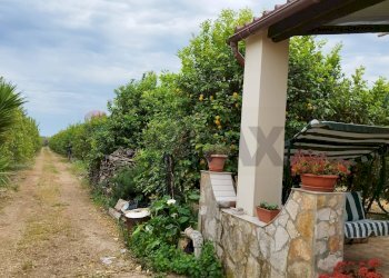 Giardino - Terreno agricolo Noto - foto 24