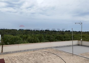 Terrazza - Terreno agricolo Noto - foto 33
