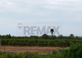 Edificio all\'aperto - Terreno agricolo Noto - foto 34