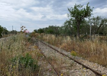 Non correlato - Terreno agricolo Noto - foto 36