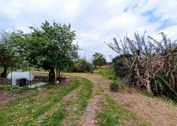 Giardino - Villa VIA GIOVANNI PASCOLI
 
4, Melilli - foto 39