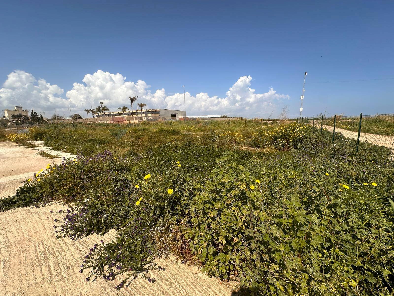 Edificio all\'aperto - Commercial Premises Via Giovanni Pascoli
 
SnC, Pachino - photo 3