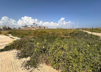 Edificio all\'aperto - Commercial Premises Via Giovanni Pascoli
 
SnC, Pachino - photo 3