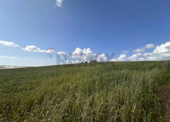 Vista delle montagne - Agricultural land Contrada Cozzo Grillo, Pachino - photo 4