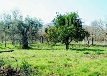 Giardino - Independent house Via Linara
 
32, Limatola - photo 81