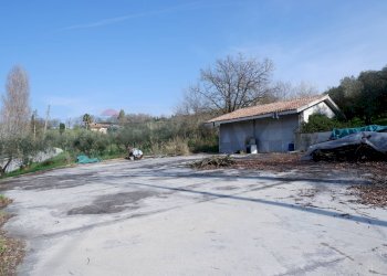 Piazzale - Agricultural land Via Felcio, Ruviano - photo 3