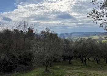 Vista delle montagne - Agricultural land Via Felcio, Ruviano - photo 17