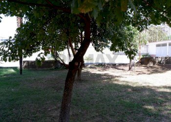 Giardino - Appartamento Via Giuseppe De Falco
 
4, Caserta - foto 64