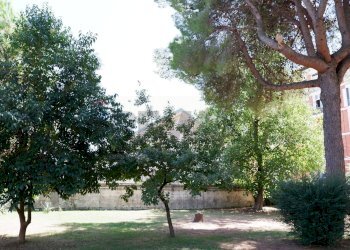 Giardino - Appartamento Via Giuseppe De Falco
 
4, Caserta - foto 69