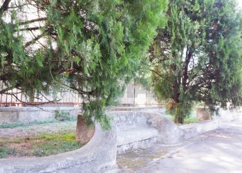 Giardino - Appartamento Via Giuseppe De Falco
 
4, Caserta - foto 72