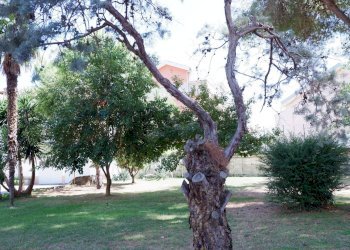 Giardino - Appartamento Via Giuseppe De Falco
 
4, Caserta - foto 73