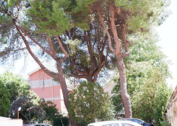 Edificio all\'aperto - Appartamento Via Giuseppe De Falco
 
4, Caserta - foto 76