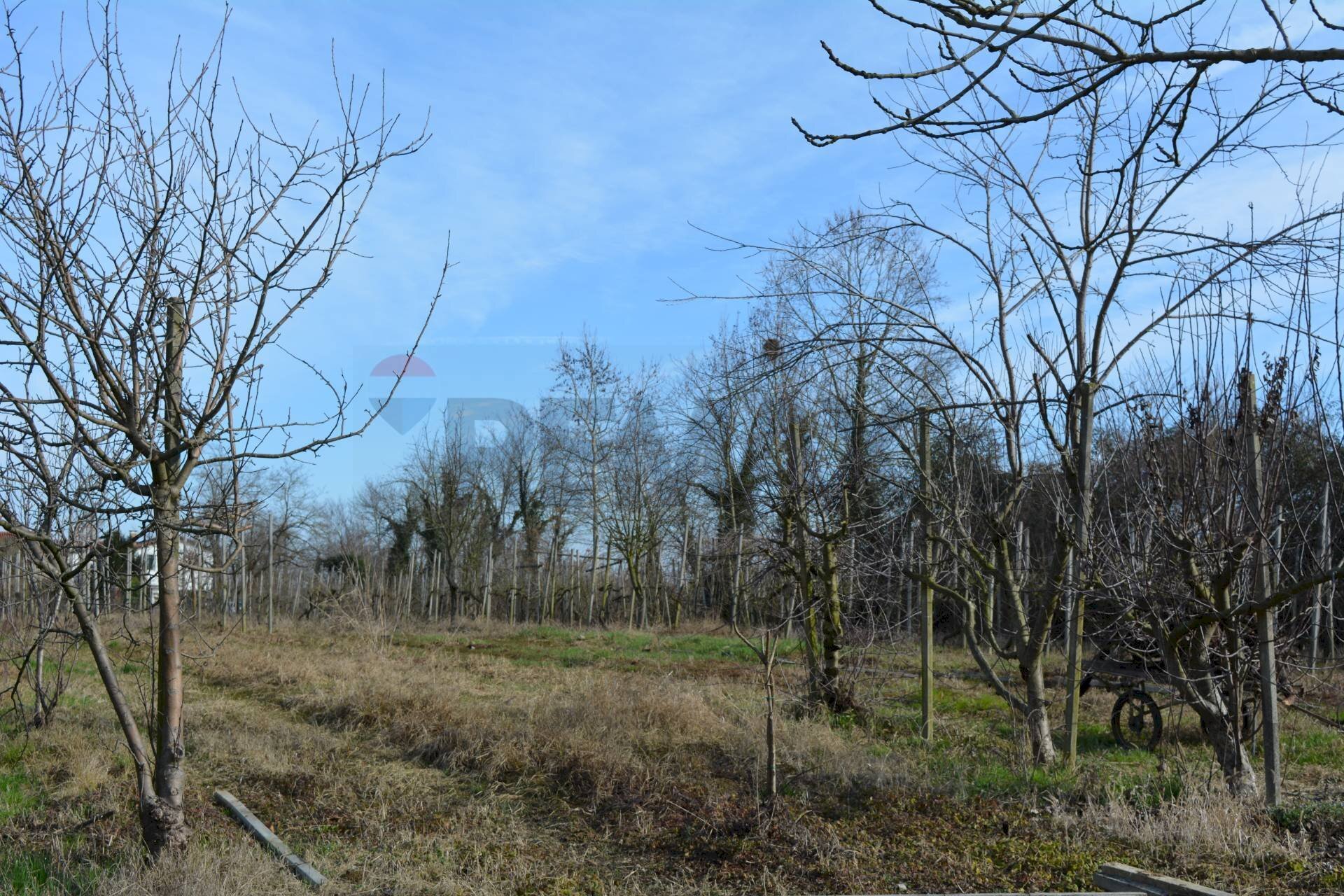 Terreno agricolo - Agricultural land Via Don Orione, Mirano - photo 3