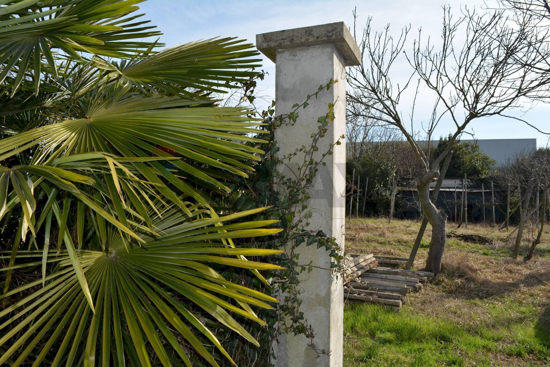 Accesso terreno - Agricultural land Via Don Orione, Mirano - photo 2