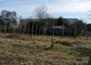 Terreno agricolo - Agricultural land Via Don Orione, Mirano - photo 4