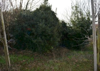 Terreno agricolo - Agricultural land Via Don Orione, Mirano - photo 11