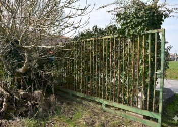 Cancello accesso - Agricultural land Via Don Orione, Mirano - photo 12