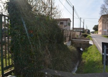 Accesso terreno - Agricultural land Via Don Orione, Mirano - photo 14