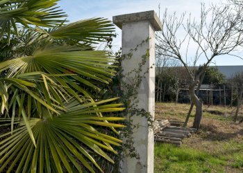 Accesso terreno - Agricultural land Via Don Orione, Mirano - photo 15